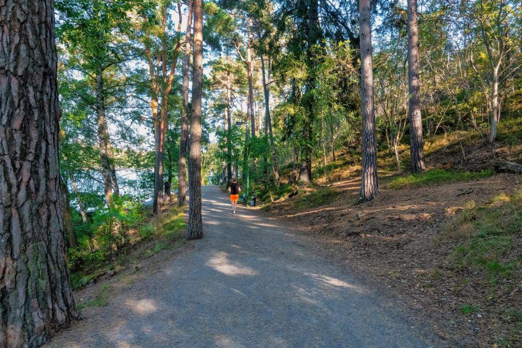 jogger on forest path in stockholm greenery
